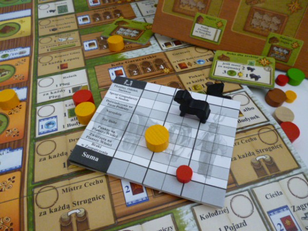 Pola Arle- GameBy.pl