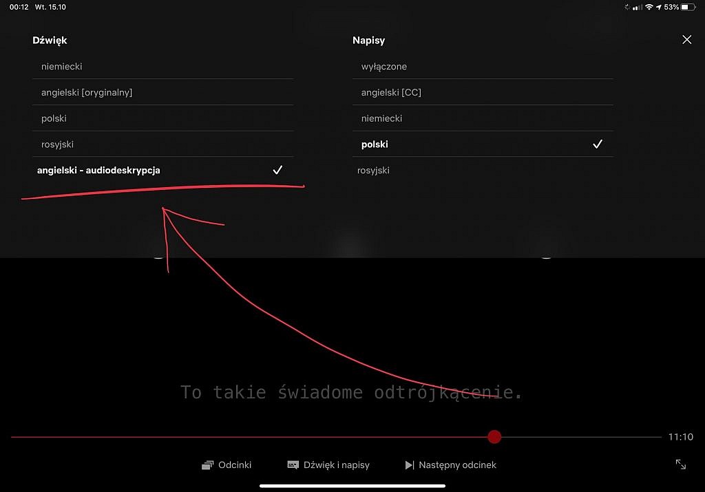 Audiodeskrypcja - Jak włączyć audiodeskrypcję na Netflixie? - GameBy.pl