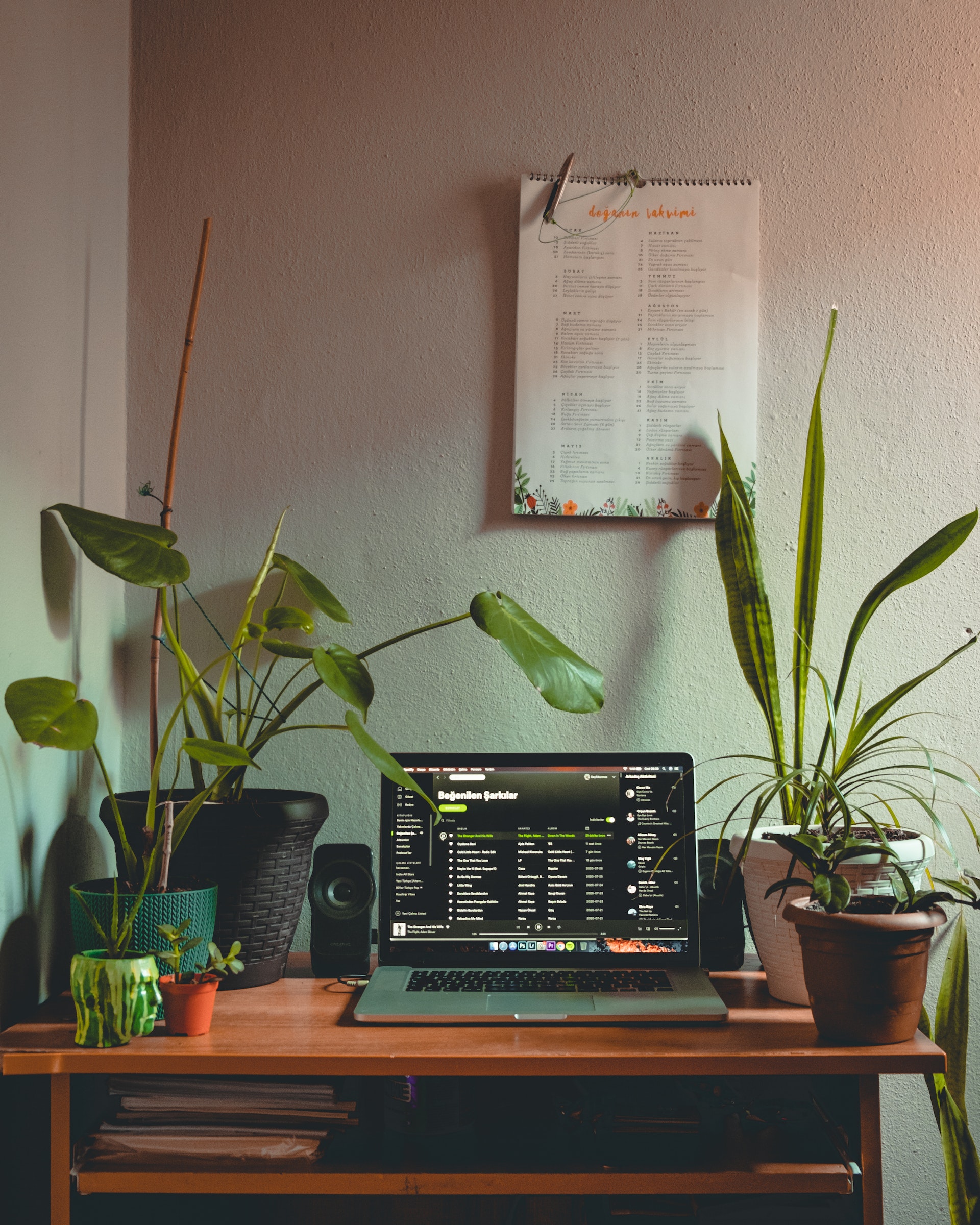 Spotify HiFi - Gameby.pl