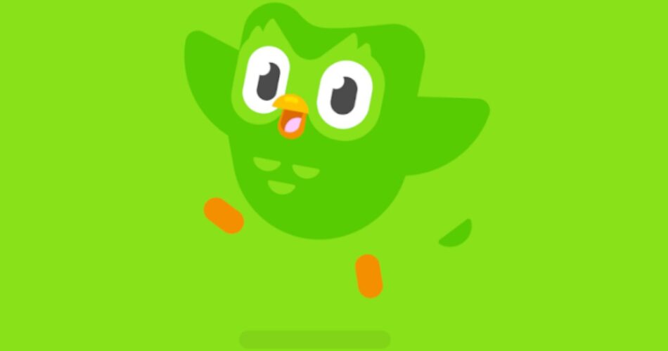 Duolingo - Gameby.pl